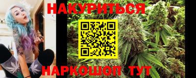 спиды Дубна