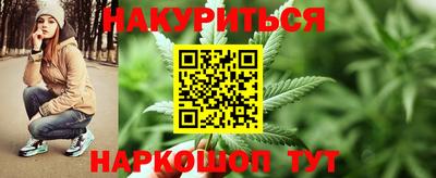 спиды Дубна