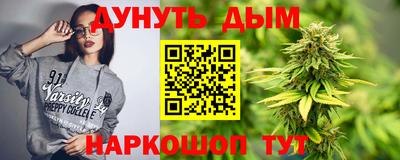 спиды Дубна