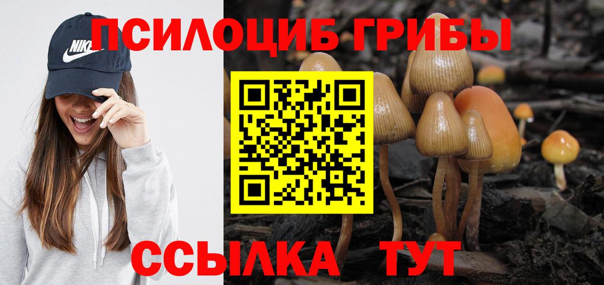 Галлюциногенные грибы прущие грибы  Вход с VPN  где найти наркотики  Мариинск 